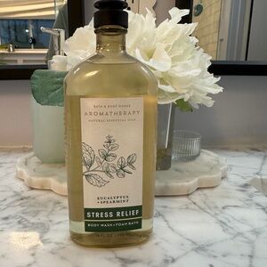 Bath & Body Works Eucalyptus & Spearmint Aromatherapy Body Wash